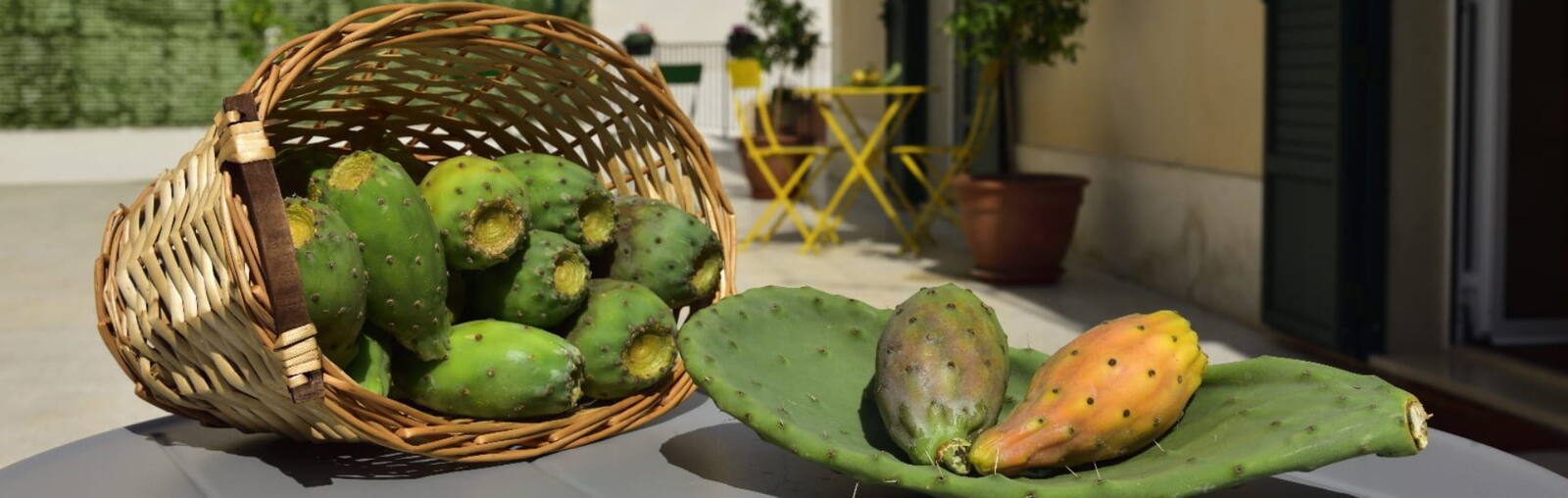 Un cesto di fichi d'india sul tavolo della terrazza
